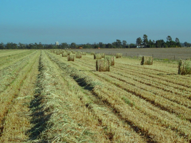 round oats